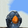 phenix98rus